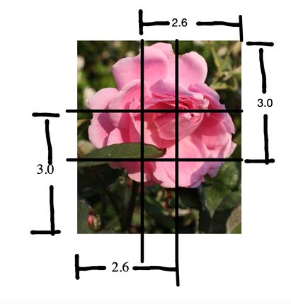 The Golden Mean: Drawing in your viewer